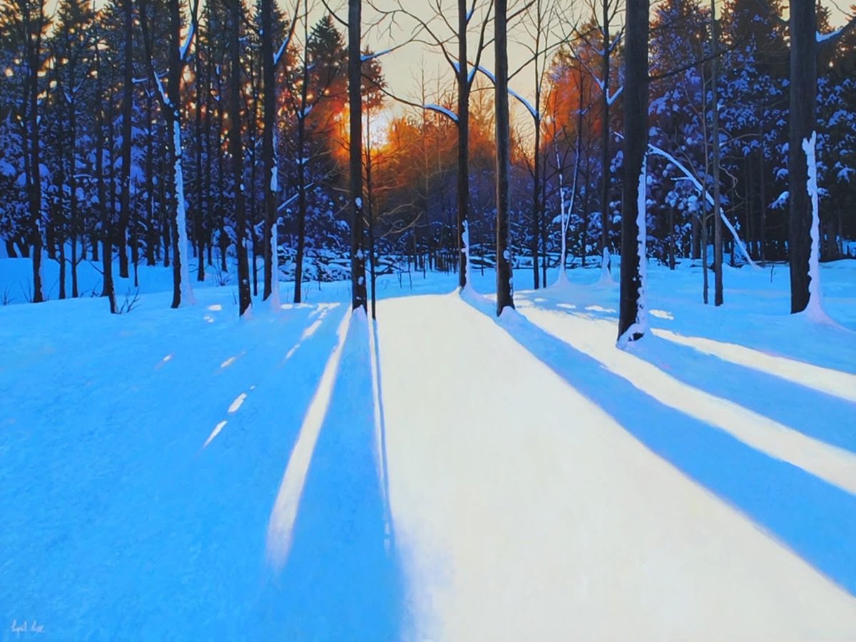 Celiker Bahceci tweet media