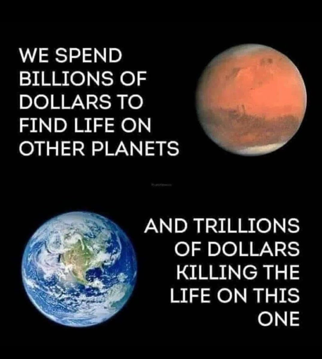 Pervaiz Rashid tweet media