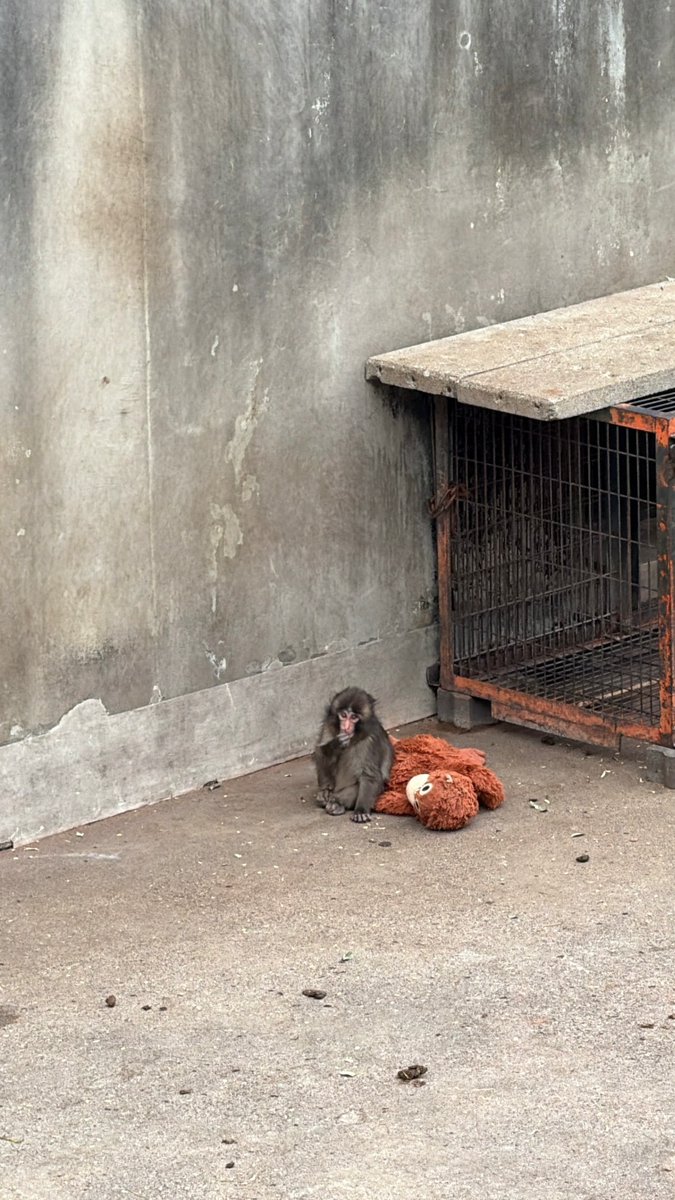 ABS-CBN News tweet media