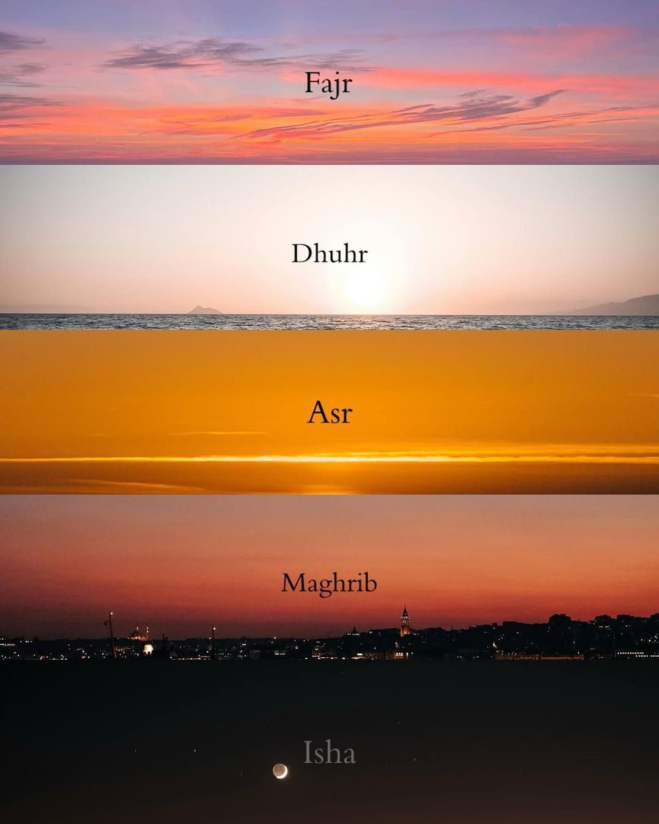 Five steps for success: