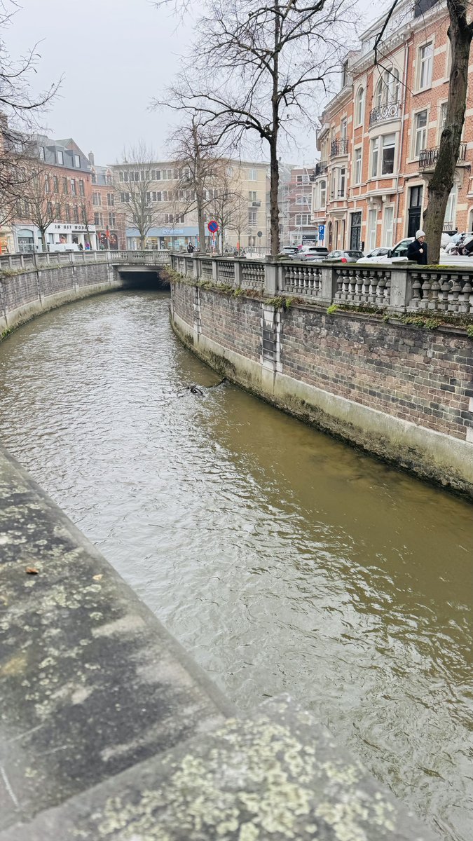 <a href="/edwinsifuna/">Edwin Sifuna</a> I took this photo in Belgium last month. Thats not a river. Thats drainage so that the city wont flood. And theres so many of these channels. Anyway zile machine za chapati zenye sakaja has been lobbying zimefika?