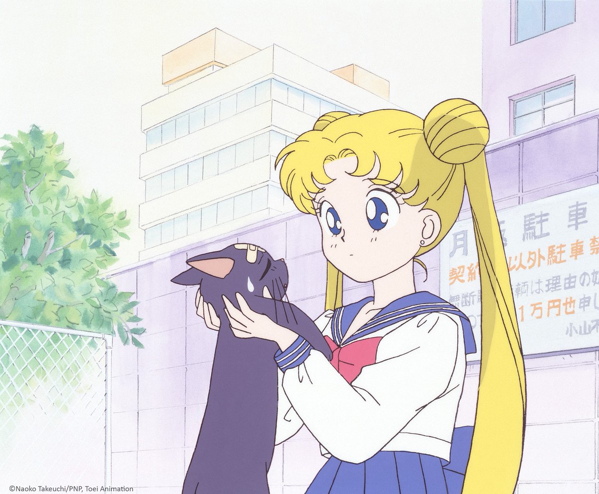 Toei Animation Europe tweet media