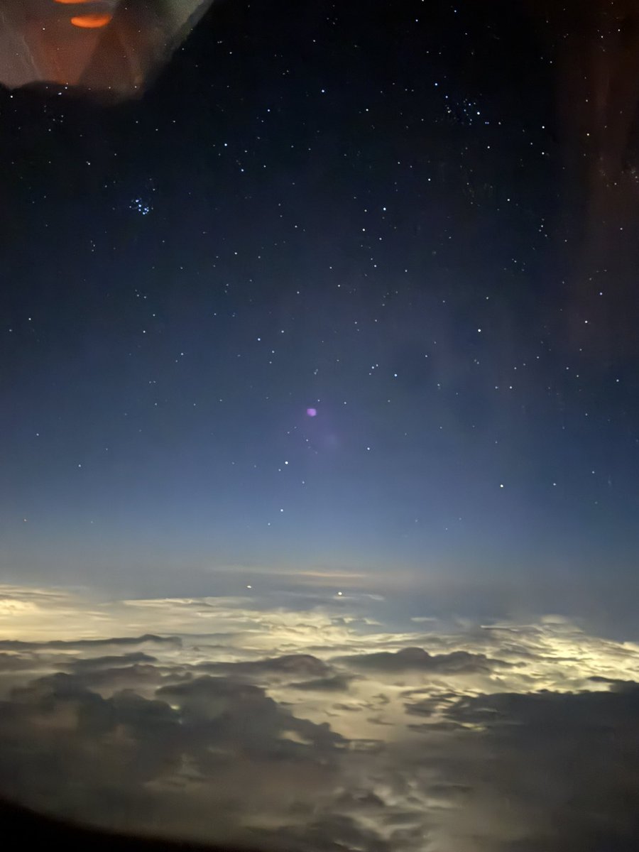 nice guy soph tweet media