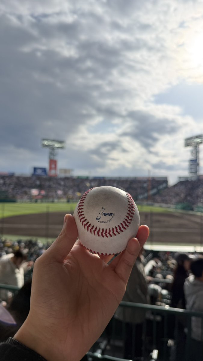 もりりん tweet media