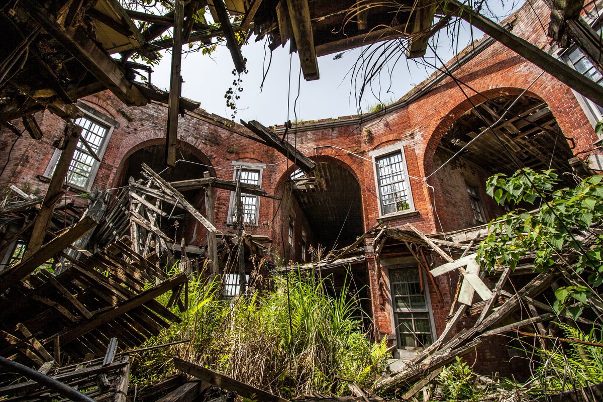 前畑洋平 3/2『異世界図鑑』をエクスナレッジより出版 tweet media