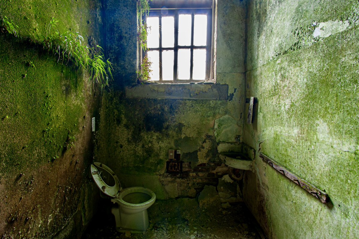 前畑洋平 3/2『異世界図鑑』をエクスナレッジより出版 tweet media