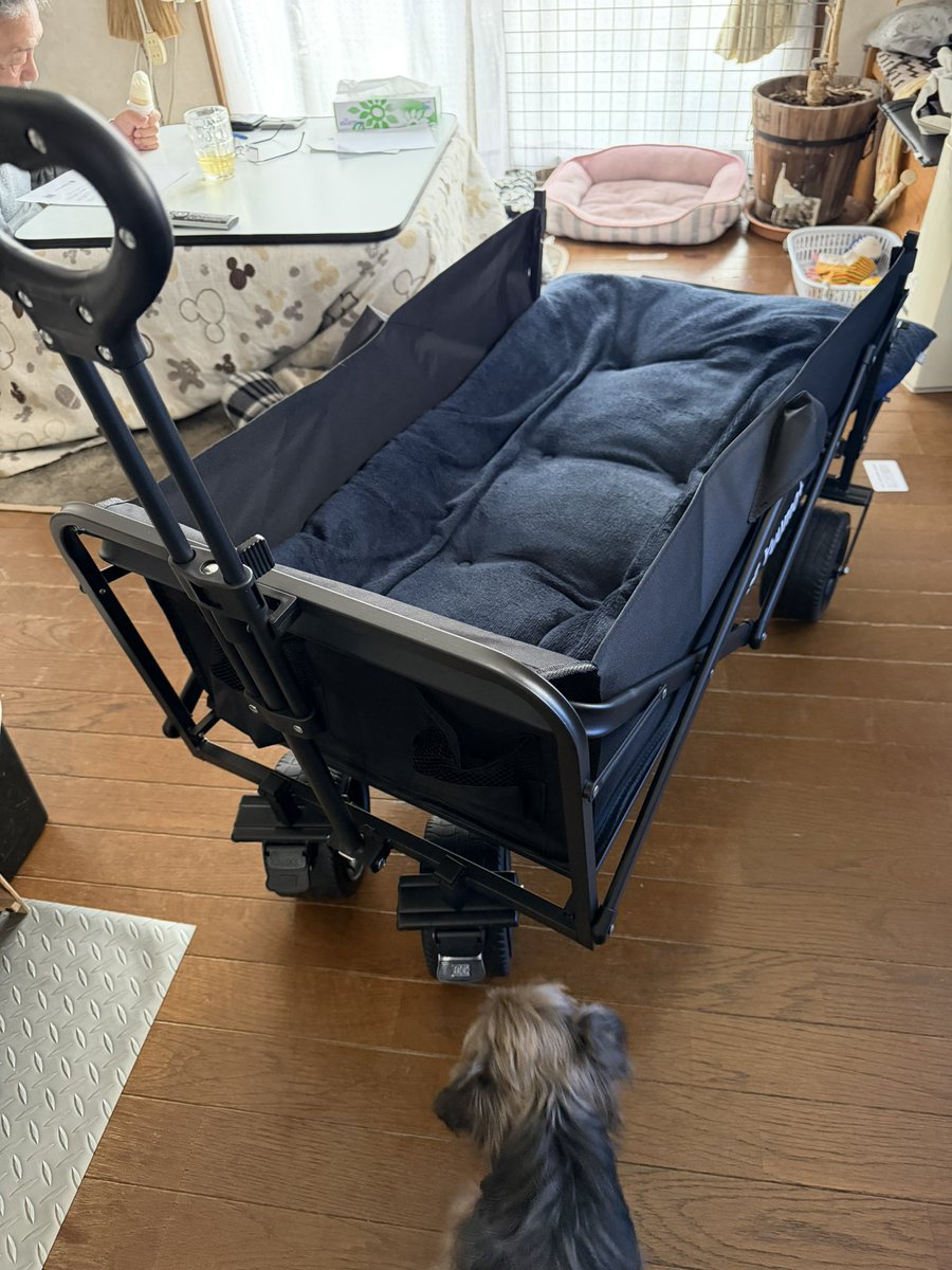 あんころもち tweet media