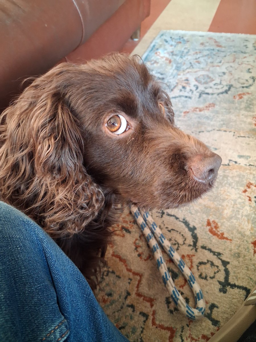 Kees Tinga tweet media