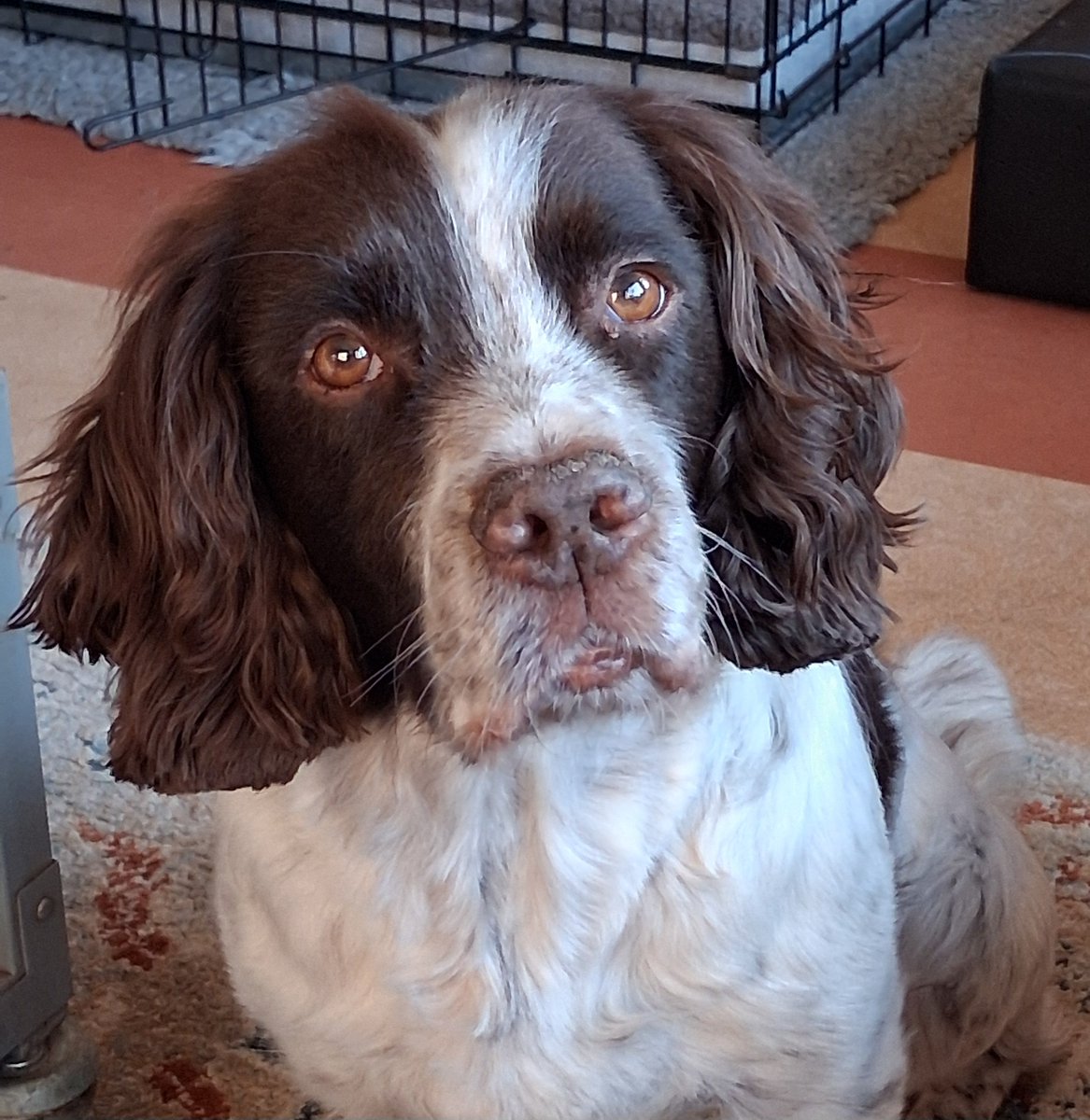 Kees Tinga tweet media