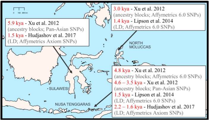motherlander's tweet photo. New insights from old DNA into the colonization of the Pacific: Two case studies https://t.co/1o6srPDO0g 

The timing of the admixture between indigenous Papuan groups and incoming Austronesian groups likely occurred soon after the arrival of Austronesians in eastern Indonesia.

There were unexpected differences in the ancestry of ancient samples from northern Eastern Indonesia (i.e., the North Moluccas) vs. southern Eastern Indonesia (i.e., the Nusa Tenggaras): the latter had ancestry from mainland Southeast Asia that was absent in the former.