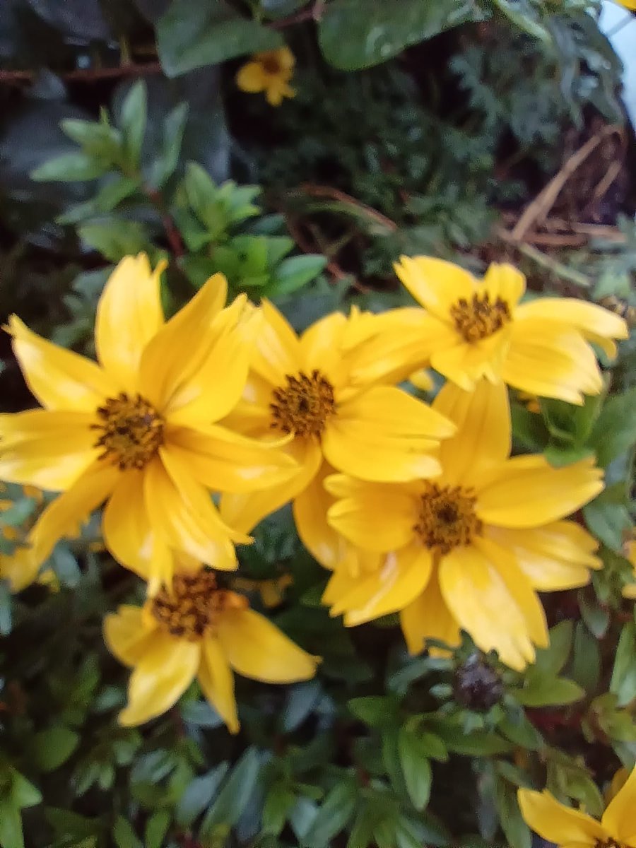 Arnau Cabeza Garrido tweet media