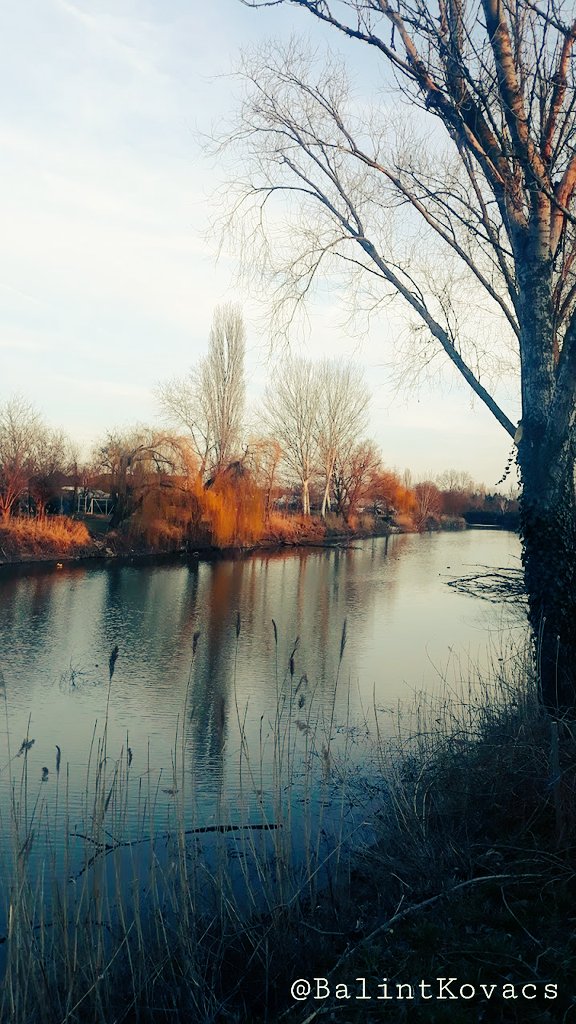 Balint Kovac tweet media