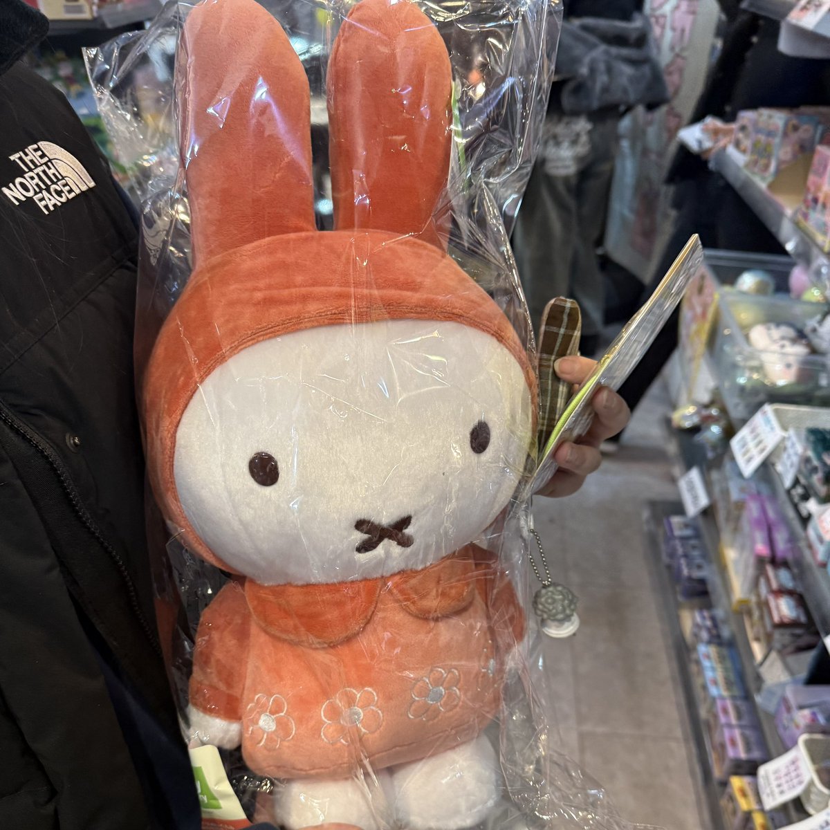 푸요⋰˚⛧ tweet media