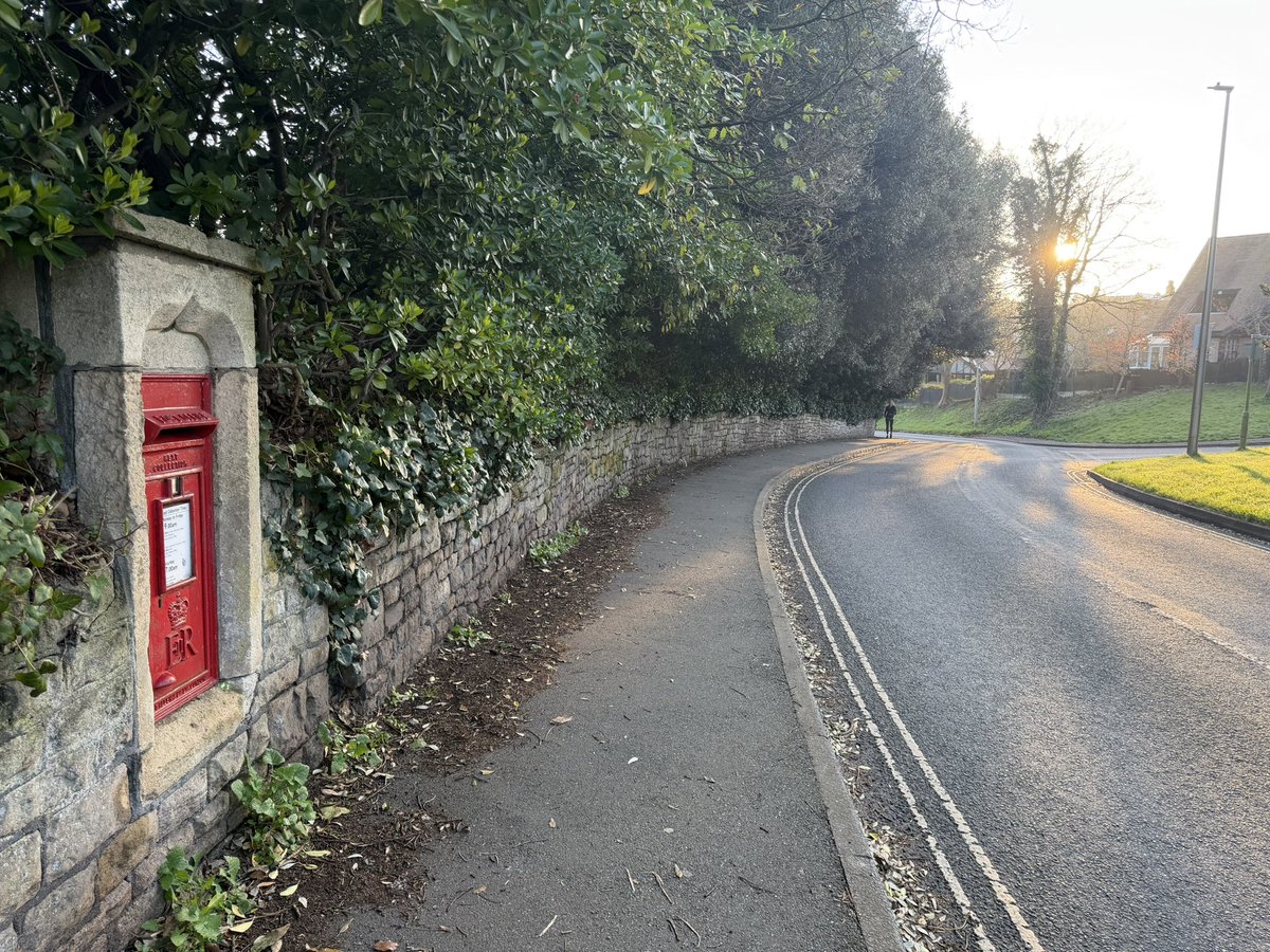 Tom Fallon tweet media