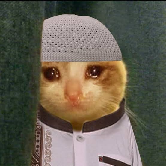 Airdrop Finder tweet media