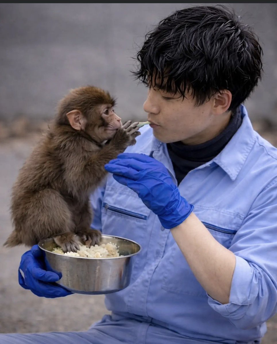 Varsha Singh tweet media