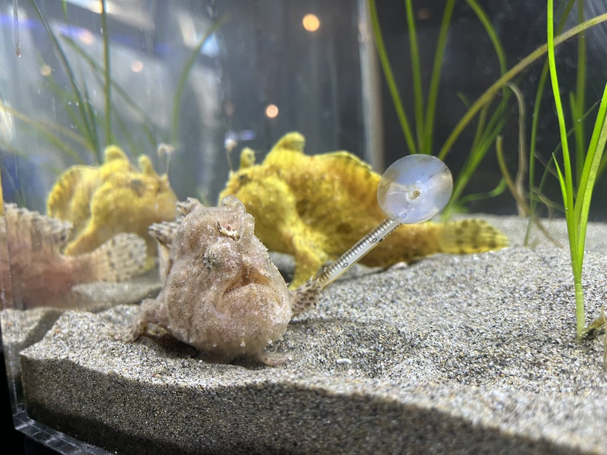 浜名湖体験学習施設ウォット tweet media