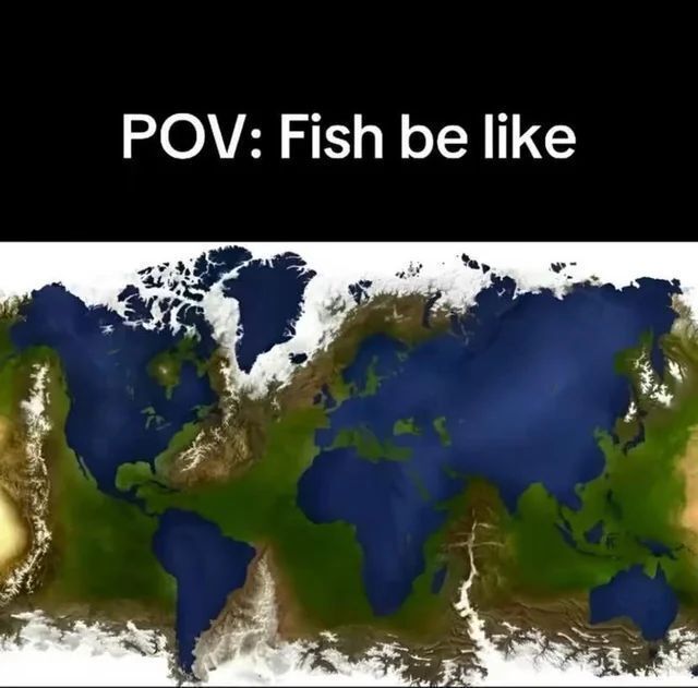 AAAAAAAAAA tweet media