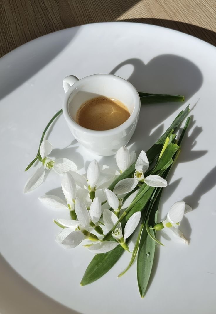 TatyanaZhmnva's tweet image. I hope you feel pretty, your coffee is amazing and something really good happens to you today.
#MorningCoffee