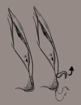 VOID MONGER tweet media