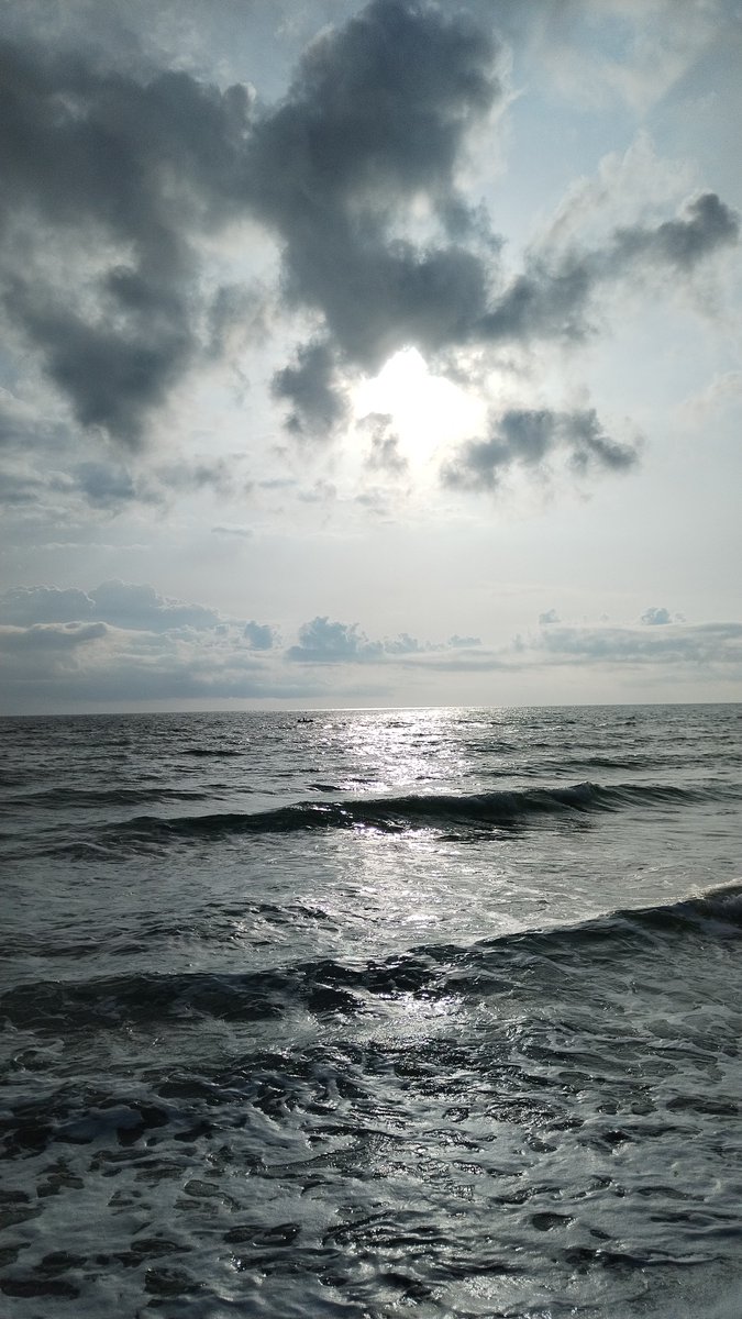 ghirigoro rogighiro  tweet media