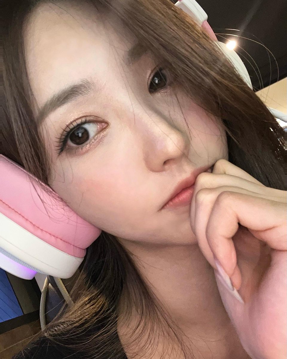 백홍설 tweet media