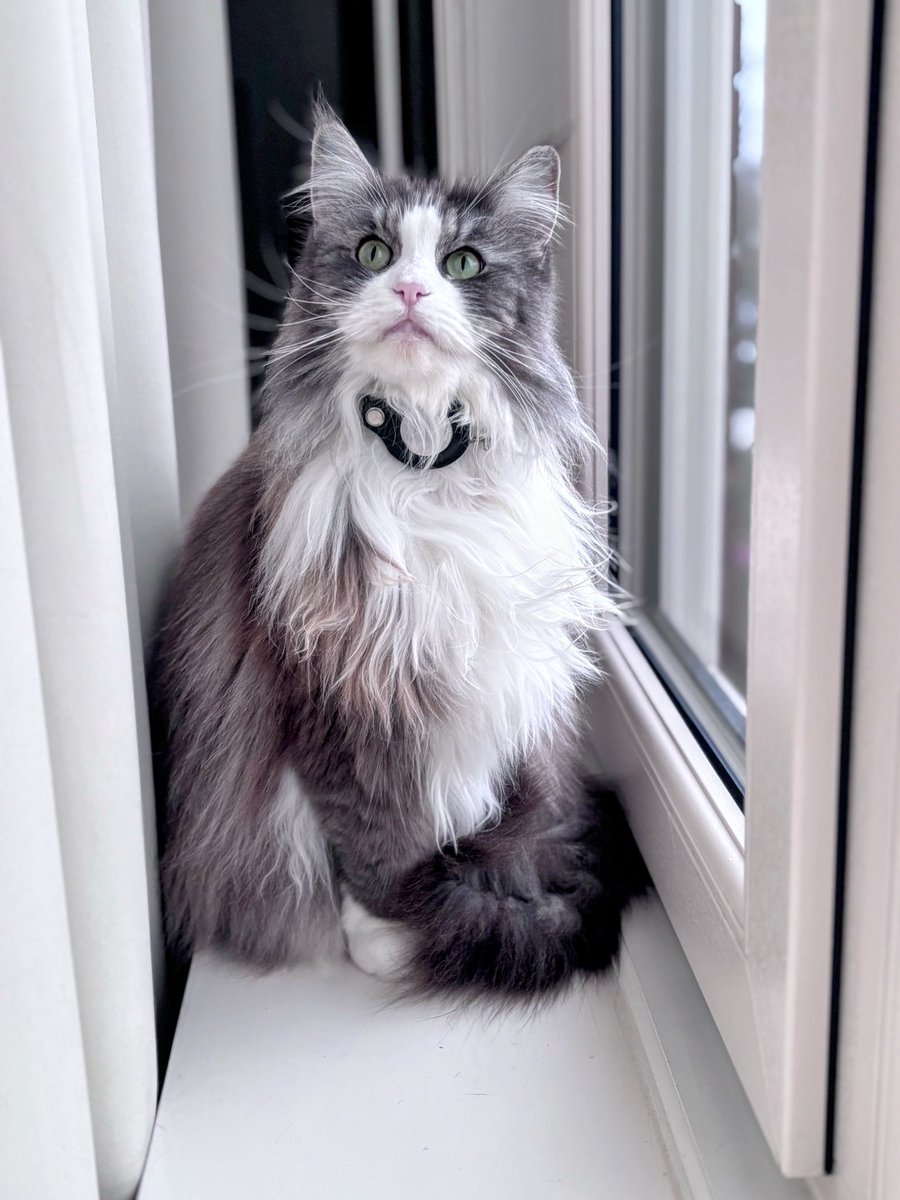 Keykisa2 tweet media