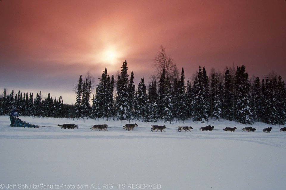 Jeff Schultz tweet media