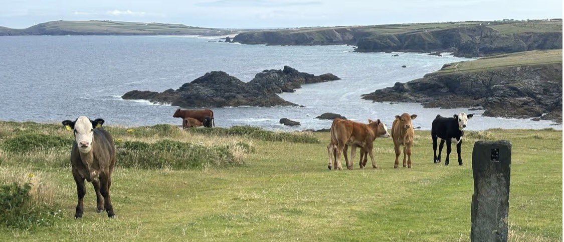 CattleSafety's tweet photo. A timely reminder for farmers as the walking season is about to start. 

“Farmers have a legal duty to ensure the safety of anyone on their land…” including walkers. 

https://t.co/a8RinnO083 https://t.co/NtxlnkXlvT