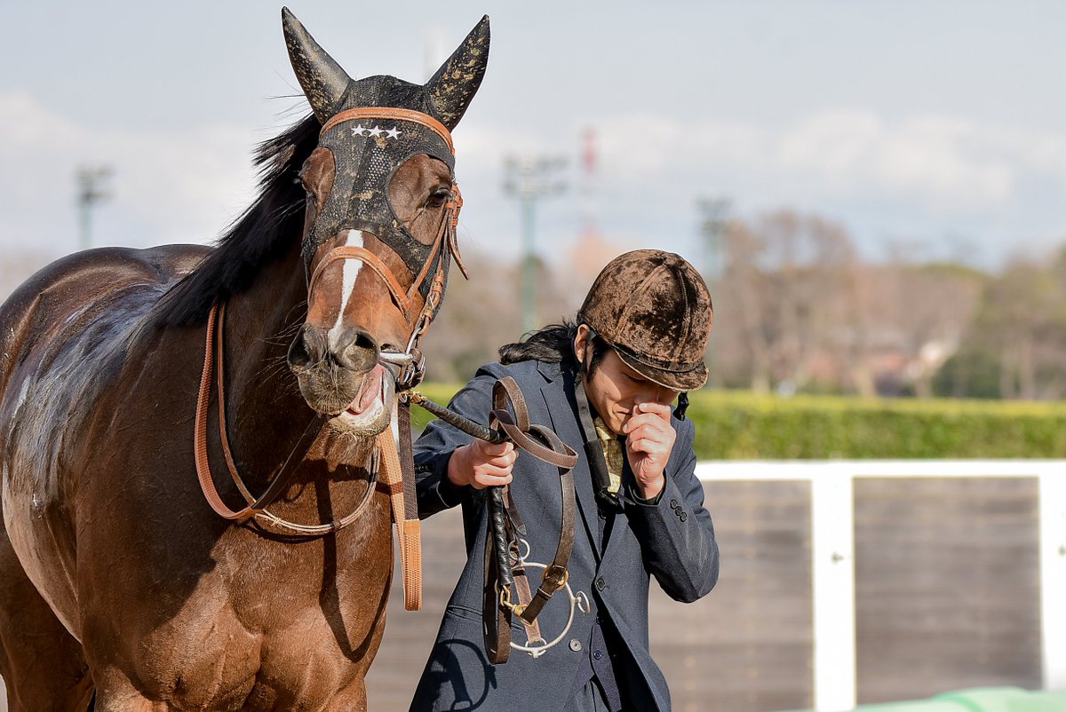 Meg∞🏇📷️🎾🤫 (@M89oumasan) / Posts / X