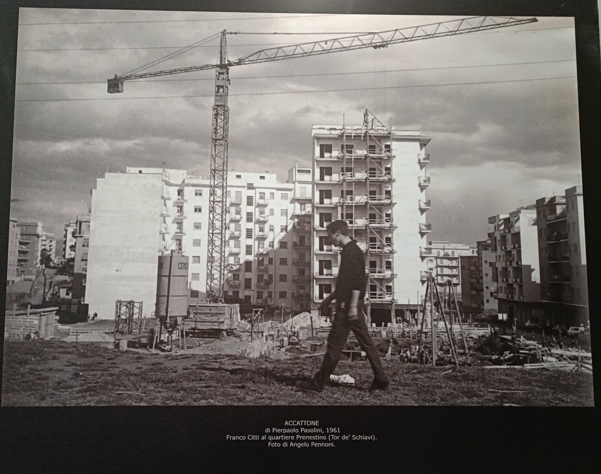 Alessandro Cochi tweet media