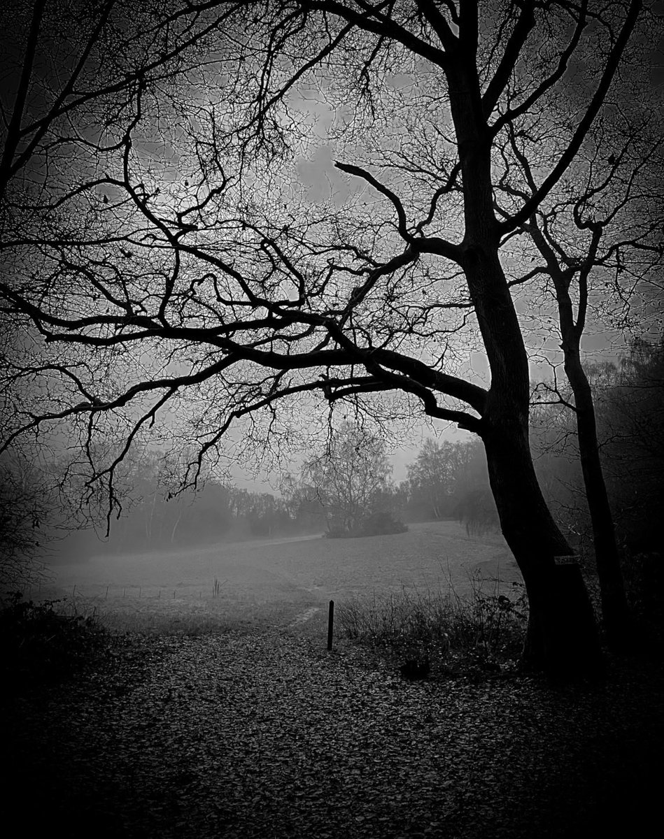 CraggMalcolm's tweet photo. Serious question,what is consciousness? https://t.co/1cTjUyddSQ