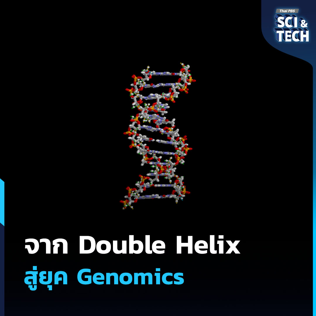 ThaiPBSSciTech's tweet image. ทำไมเราถึงทดลองถอดรหัส #DNA ใน #อวกาศ

จากการค้นพบโครงสร้าง DNA ในปี 1953 สู่ยุค #Genomics และ #HumanGenomeProject มนุษย์พัฒนาเทคโนโลยีอ่านรหัสชีวิตจนย่อส่วนเครื่อง #Sequencer ขึ้นไปบน #สถานีอวกาศนานาชาติ ได้ในปี 2016 เป้าหมายไม่ใช่แค่โชว์ #เทคโนโลยี แต่เพื่อเฝ้าระวังการ