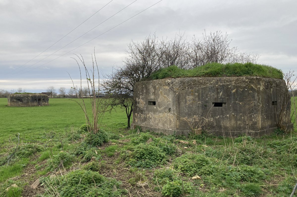 Phil Loder tweet media