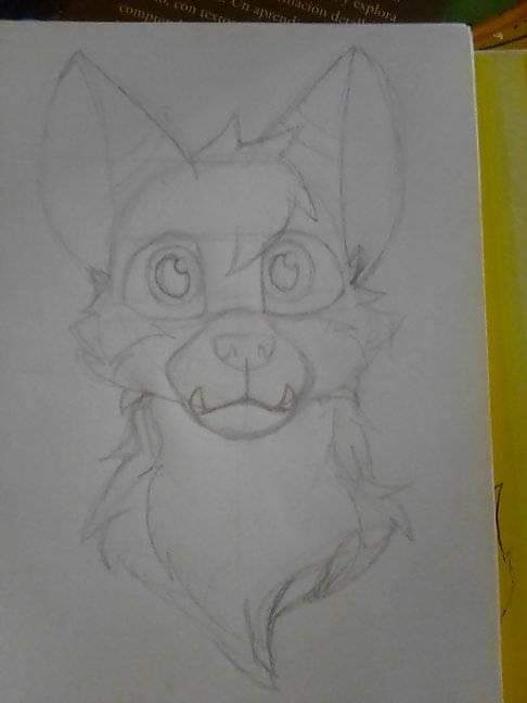 DarkRufFoxArt (OPEN COMISIONS) tweet media