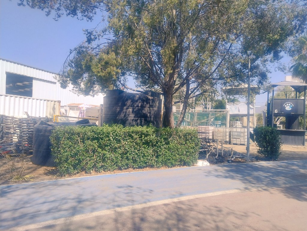 mauriciotiger's tweet photo. @ExploraLeon @FeriaDeLeon @poplabmx @arnoldocuellaro @dejame_plantado @elKafkarrabias @esquiviases @DessireAngelR @urbe_leon @AleGutierrez_mx @DavidGuanajuato @bicitografo En #ExploraLeon exhibición de contenedores de residuos ,justo a lado de alimentos y demás material que dan mal aspecto al entorno ecológico y visitante @elKafkarrabias @AleGutierrez_mx @poplabmx @urbe_leon @_enlinea @DessireAngelR @DavidGuanajuato https://t.co/ZBSwgqehrX