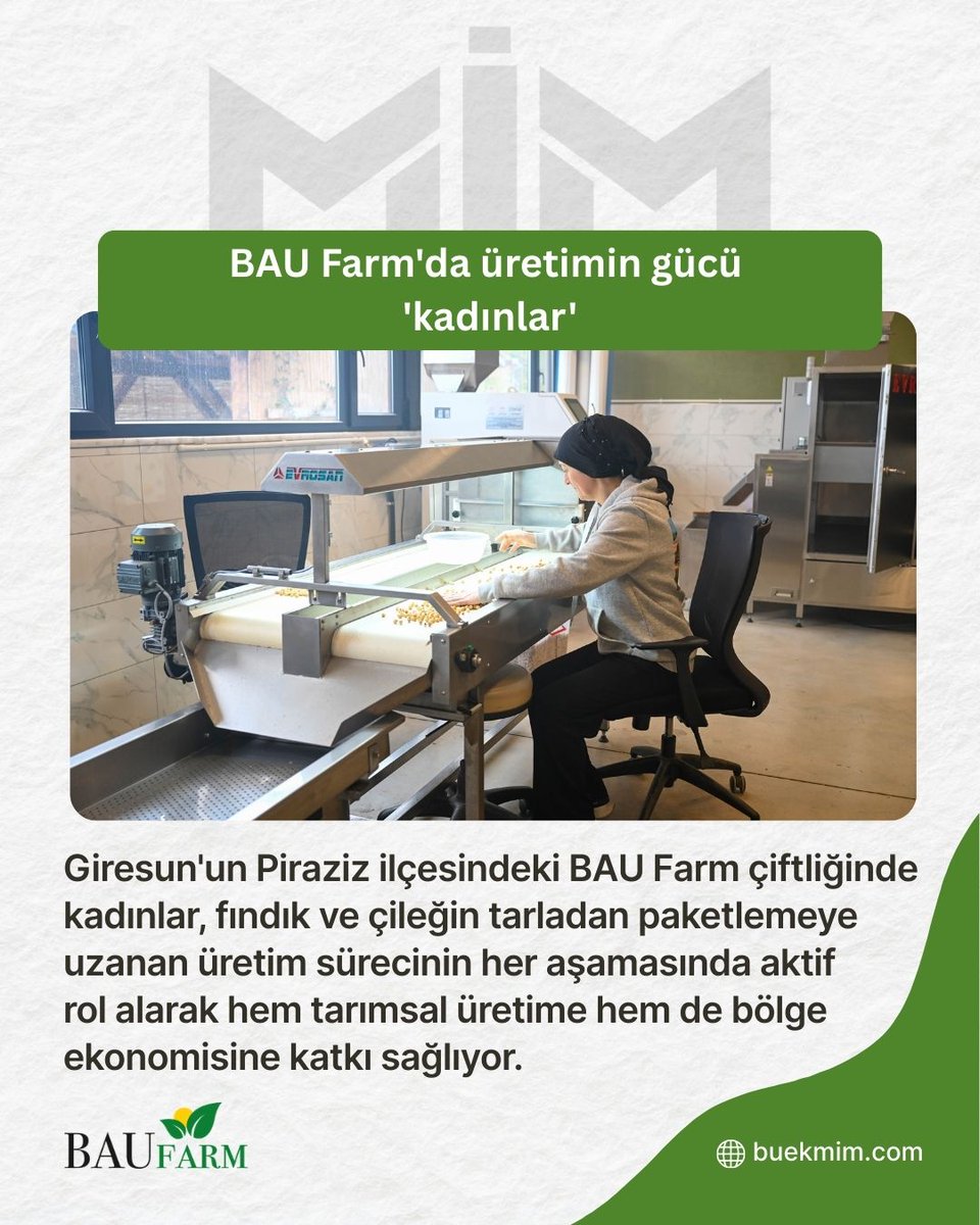 BUEK MİM tweet media