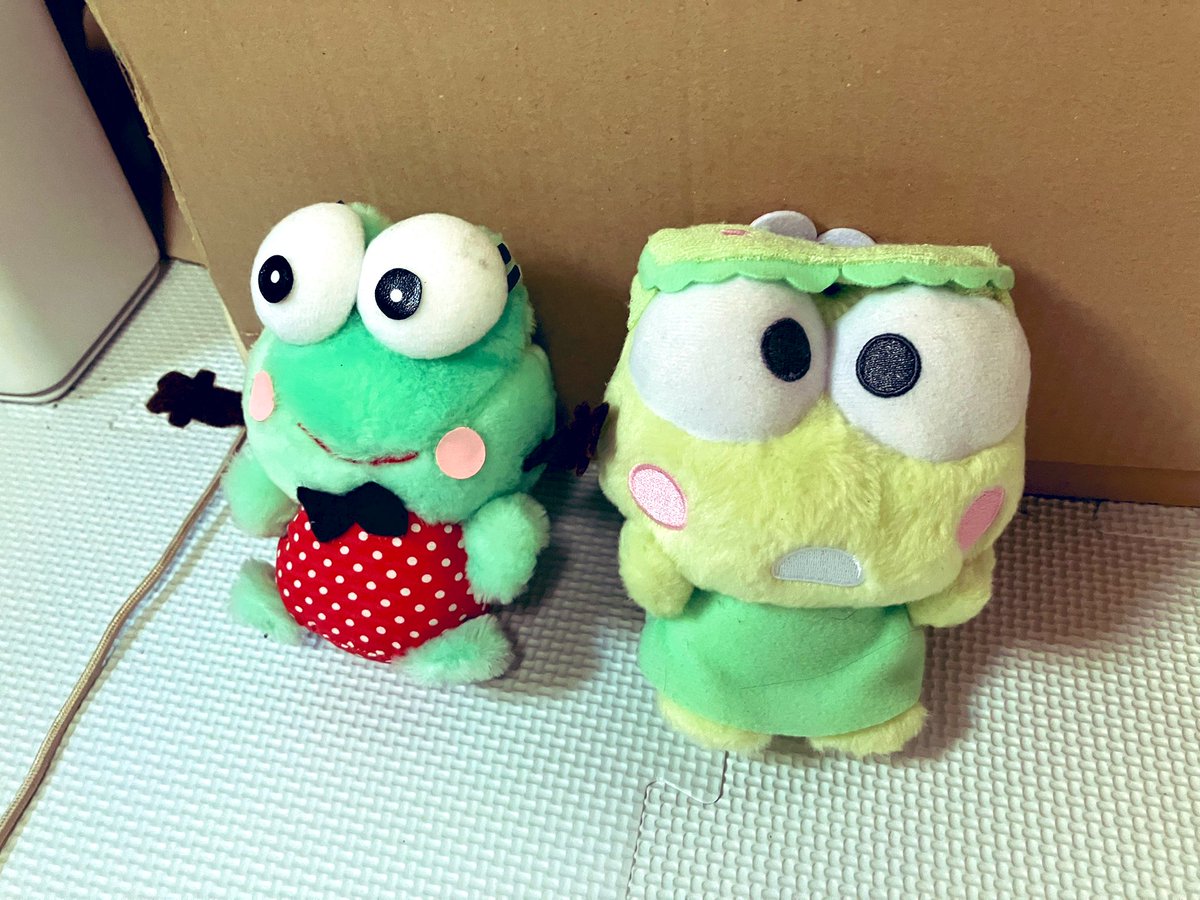 keroppifam's tweet photo. カノジョ と デート🐸

#ぬい撮り  #サンリオ推しキャラ 
#サンリオ好きな人と繋がりたい 
#はぴだんぶい https://t.co/VDtRtqP6HR