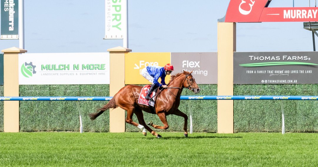 Dare To Dream tweet media