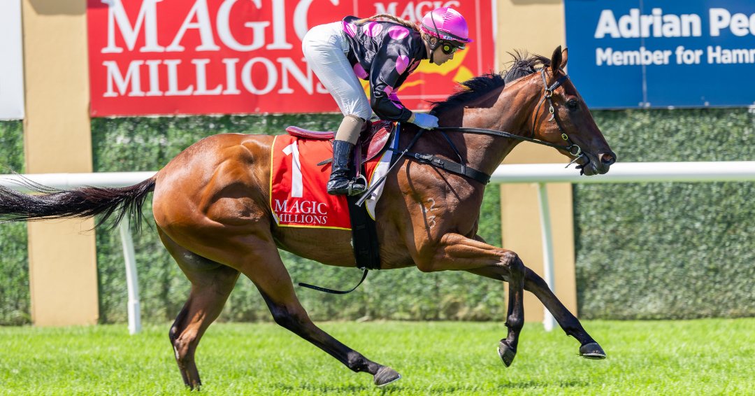 Dare To Dream tweet media