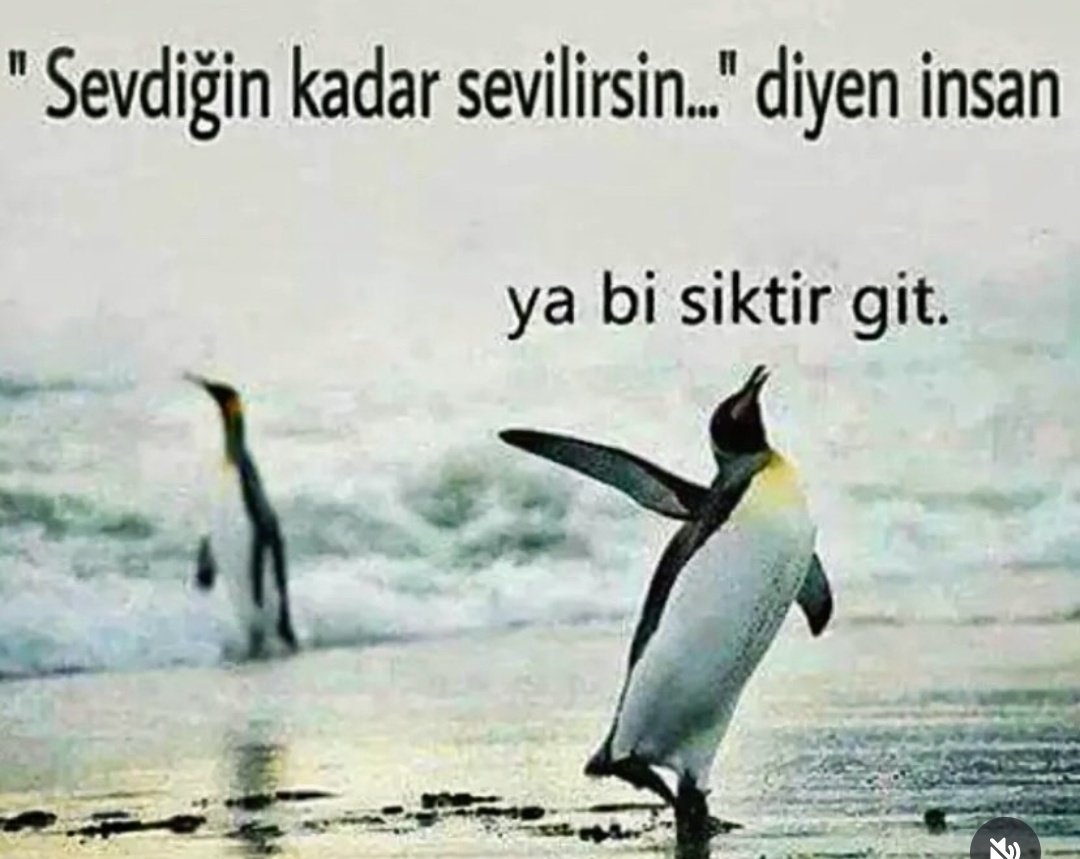 Ezgiumitkk1,23🐦🐥 tweet media