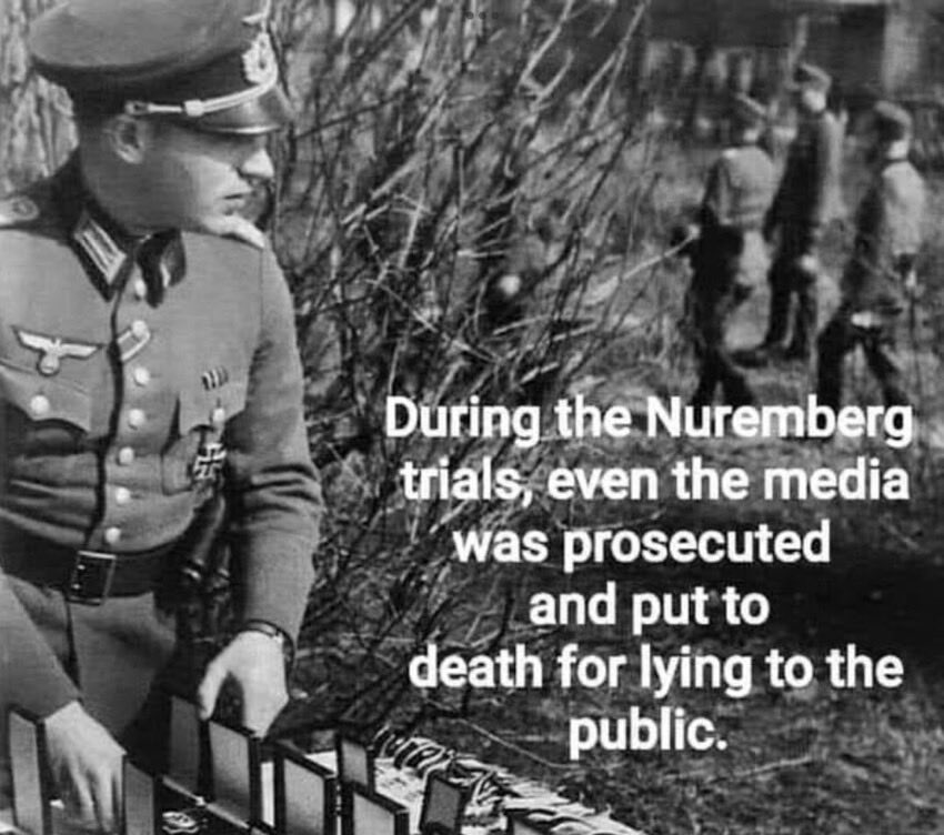 Thoughts ? Should the media be treated as traitors if involved in destroying our country? I say yes