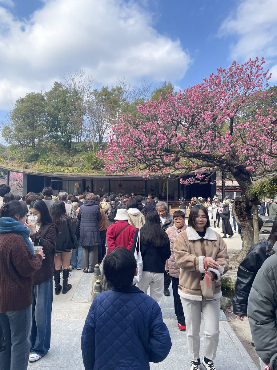 ayako_flute's tweet photo. 息子の受験お礼詣り、第3弾。最終回！

息子とおみくじがまったく同じの「吉」
いいドライブ日和。 https://t.co/3NIa7lrLl7