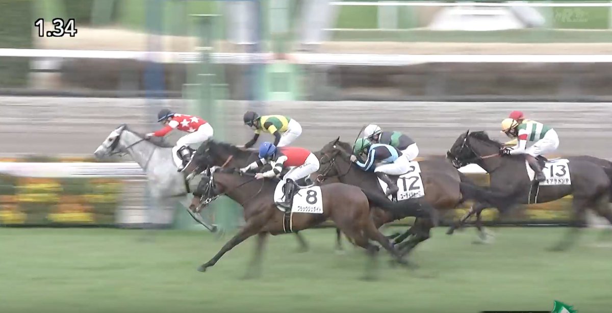 ミンゴ｜元競馬記者 tweet media