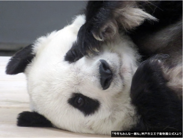 パンダライター 二木繁美｜『水曜日のお嬢様』発売中 tweet media