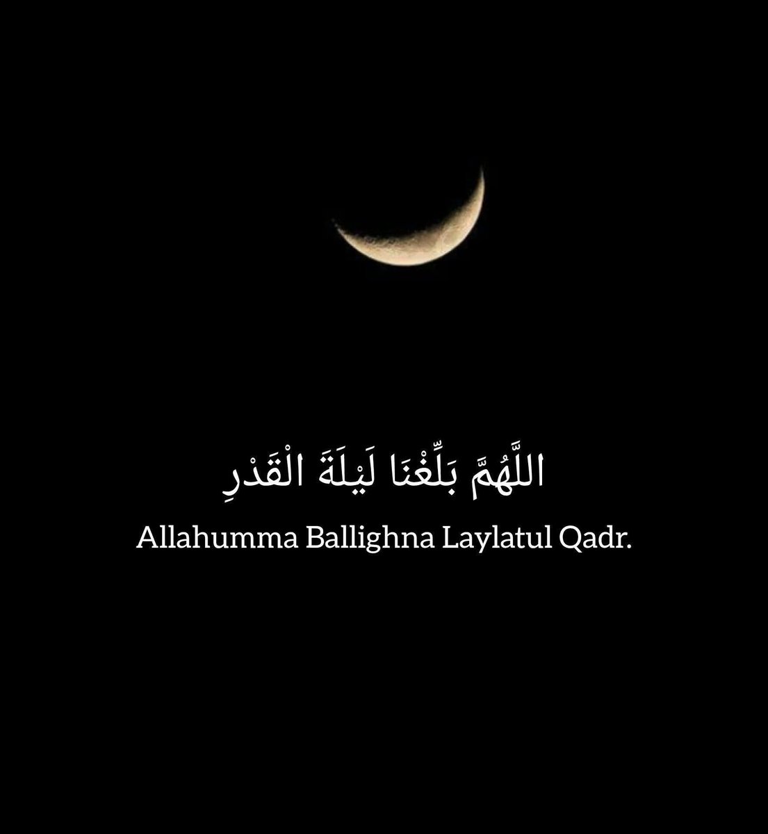 Fatima Saleh tweet media