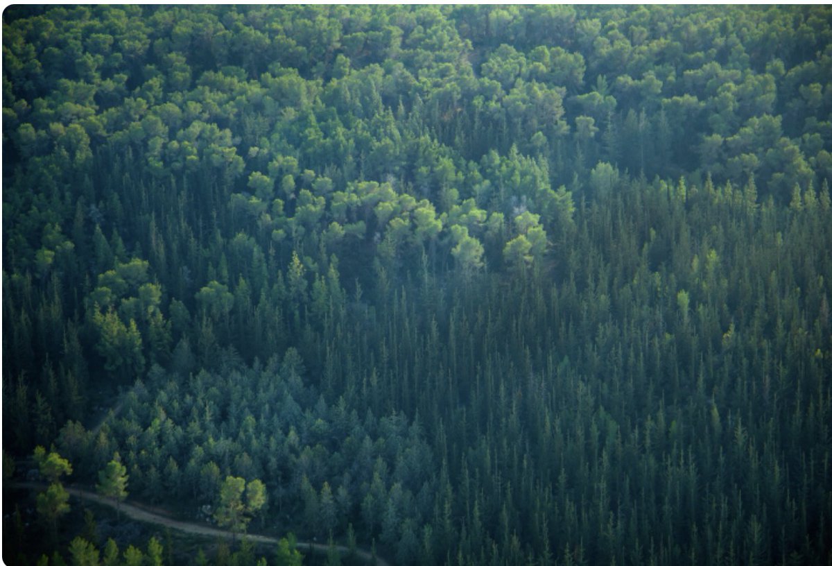 Jason Kenney 🇨🇦🇺🇦🇮🇱 tweet media