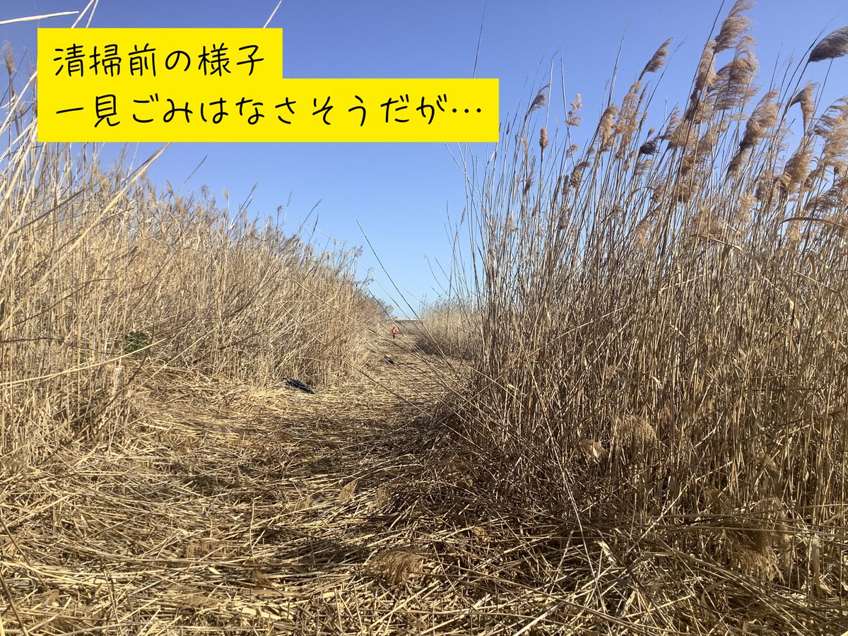 【公式】アラクリ｜NPO法人荒川クリーンエイド・フォーラム tweet media