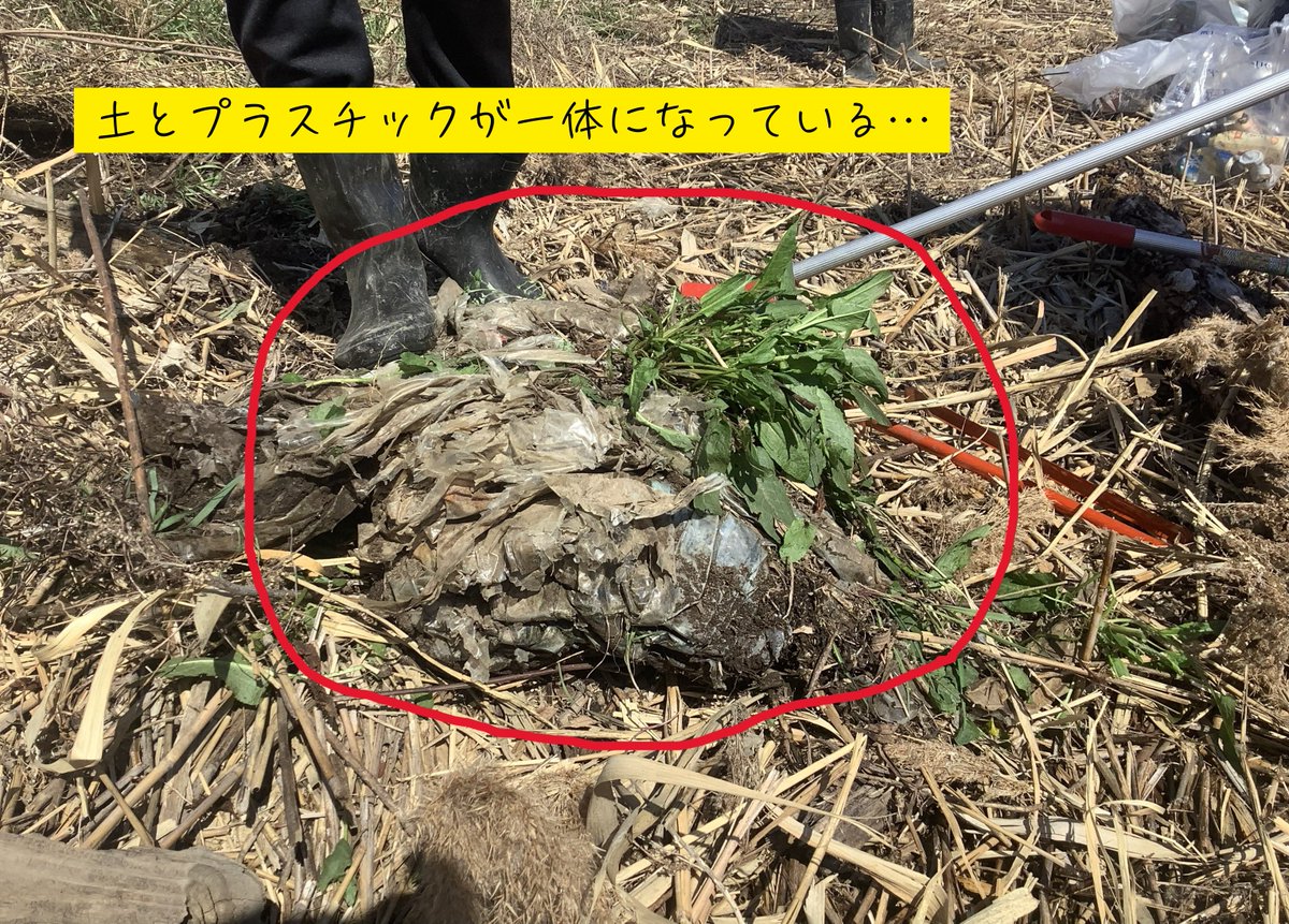 【公式】アラクリ｜NPO法人荒川クリーンエイド・フォーラム tweet media