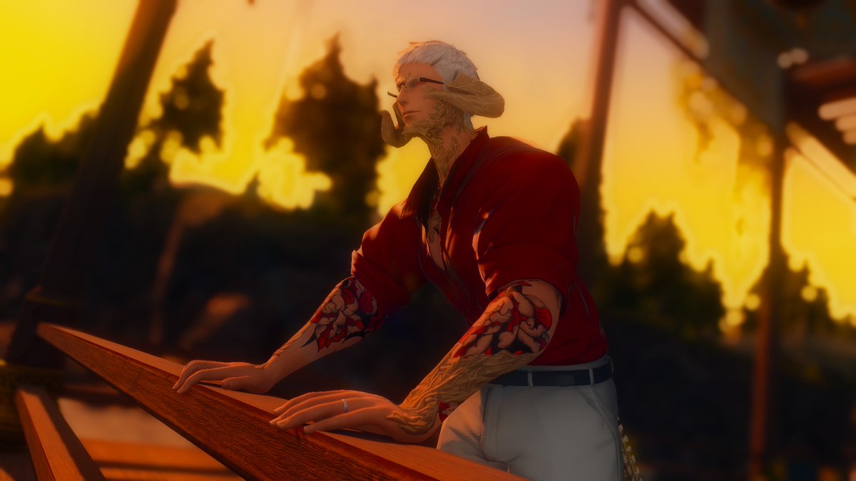 Enjoying the orange glow of sunset. #ffxivgpose #GPOSERS #gpose